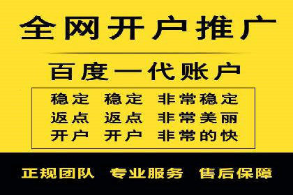 从小白到高手：百度竞价赚钱全记录